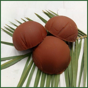খেজুরের পাটালি গুড় (খুরি) । ১ কেজি । Patali Gur (Khuri) । 1 Kg ।